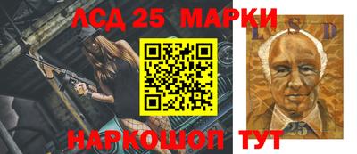 гидропоника Краснознаменск