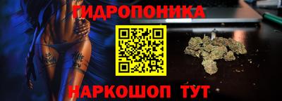 гидропоника Краснознаменск