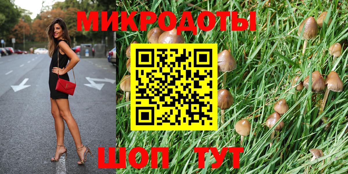 купить   Псилоцибиновые грибы MAGIC MUSHROOMS  Вход с VPN  Кашира  Галлюциногенные грибы прущие грибы 