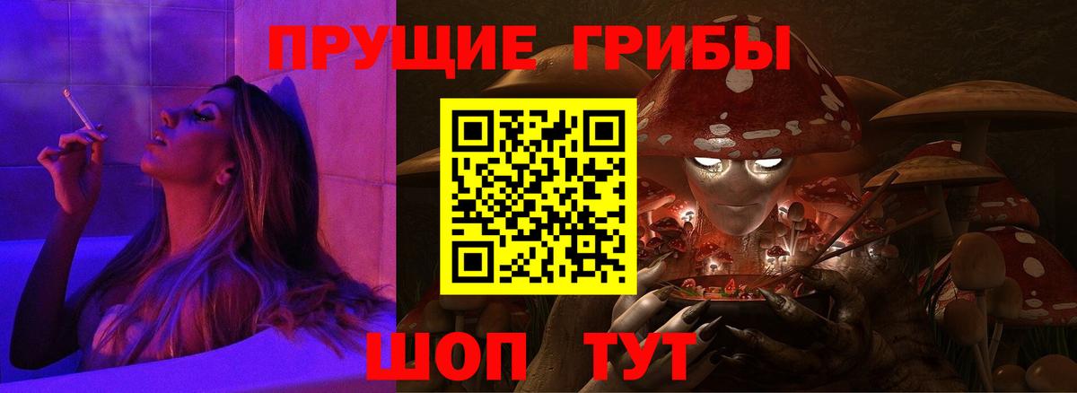 Галлюциногенные грибы GOLDEN TEACHER Кашира
